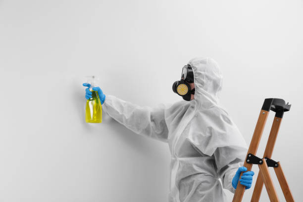 Mold Removal for HVAC Installations in West View, PA